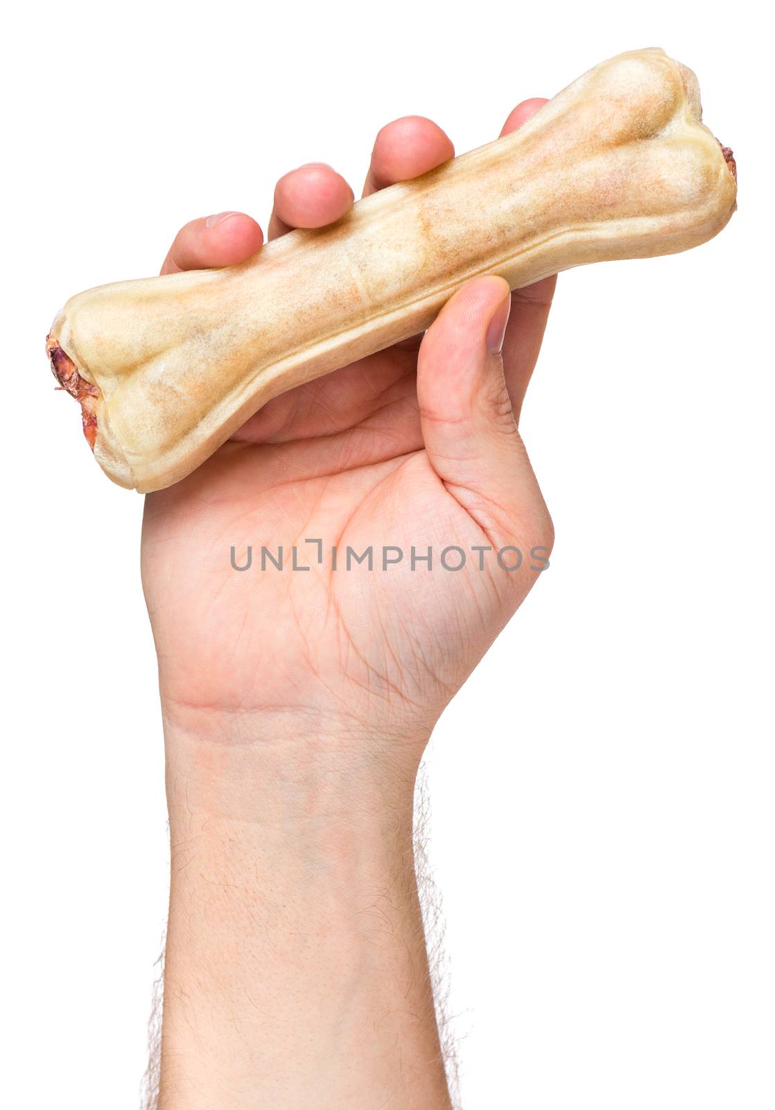 Male hand holding Dog chew bone food - pet accessories for eat, isolated on white background with copy space