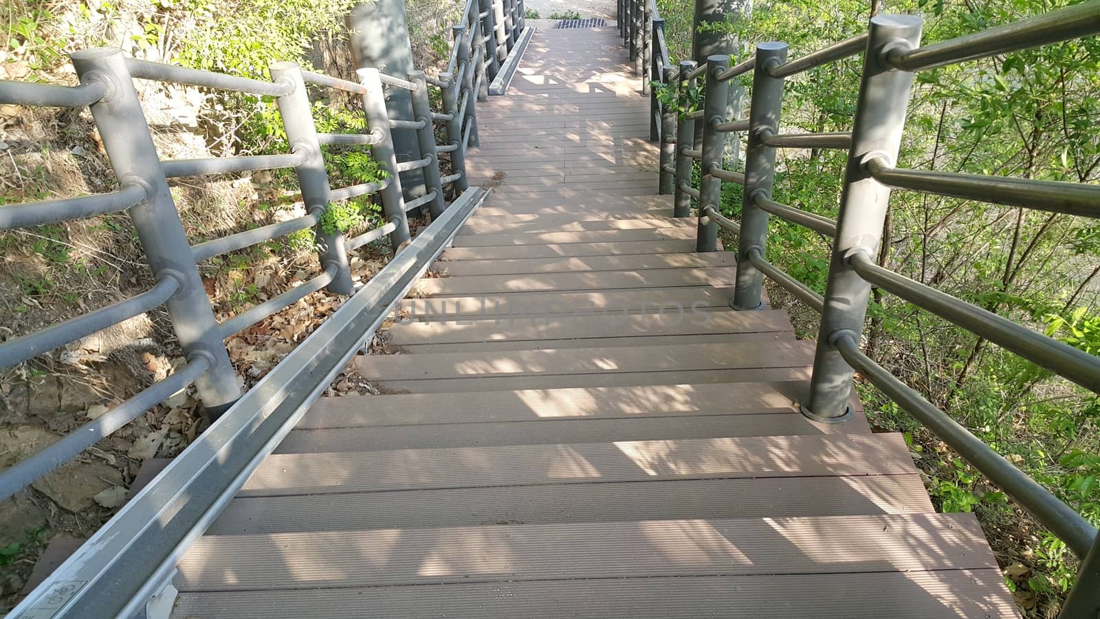 Wooden stairs with handrails on both sides in a park.