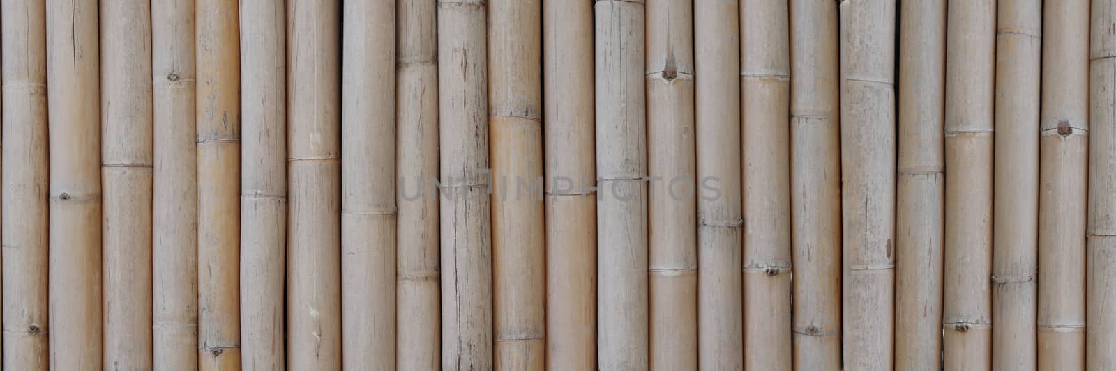 Dry brown bamboo banner pattern background. Dry bamboo background. by Eungsuwat