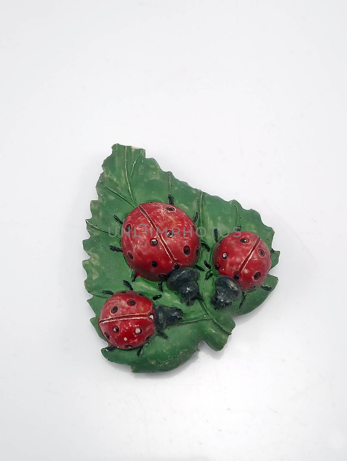 Lady bugs with leaf refrigerator magnet by imwaltersy