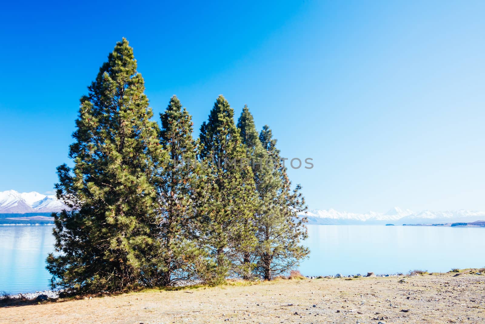 Mt Cook and Lake Pukaki on a crystal clear spring morning in New Zealand
