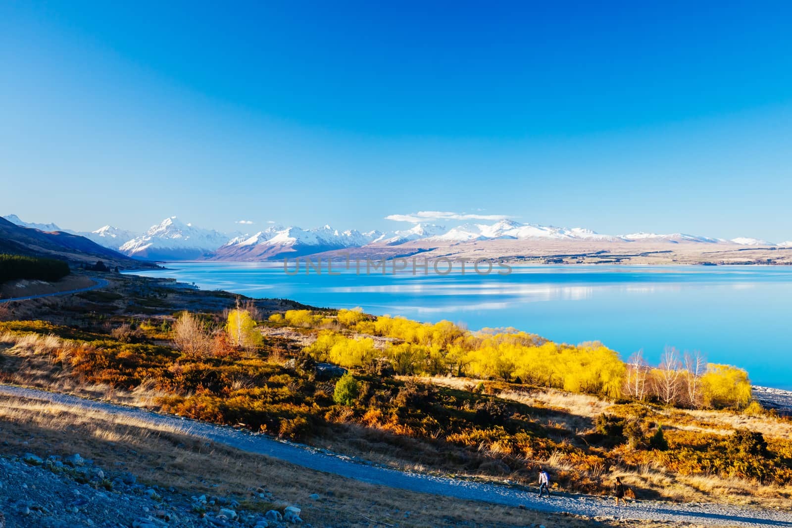 State Highway 80 near Mt Cook Village at Peter's Lookout next to Lake Pukaki on a clear sunny spring afternoon in New Zealand
