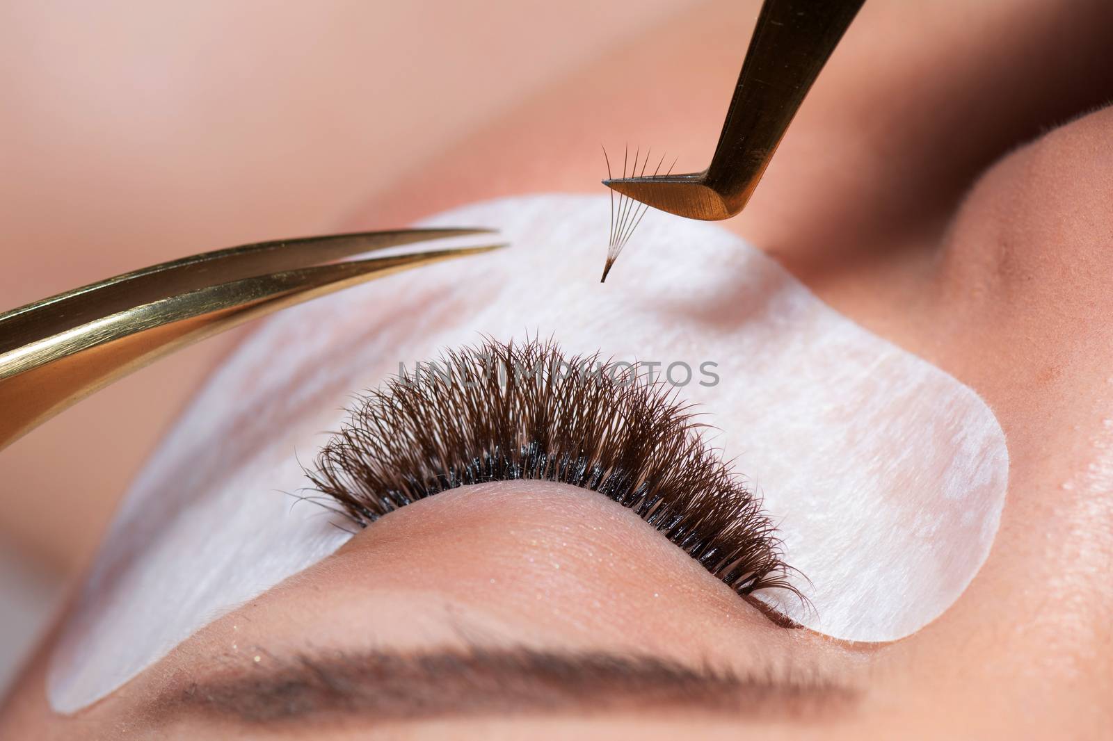 Eyelash Extension Procedure. Woman Eye with Long Eyelashes. Lashes. Close up tweezers, macro, selective focus