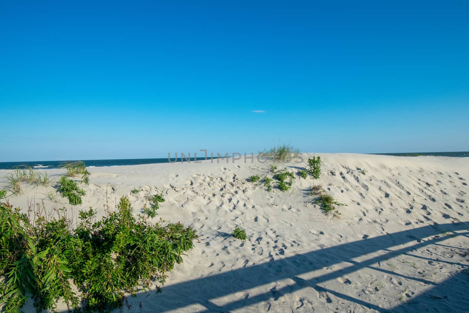 A Sand Dune at the Beach in Wildwood New Jersey With a Shadow of by bju12290