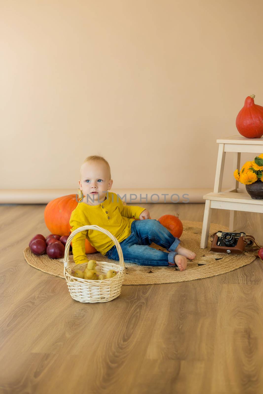 A little boy sits among pumpkins with a basket of ducklings by galinasharapova