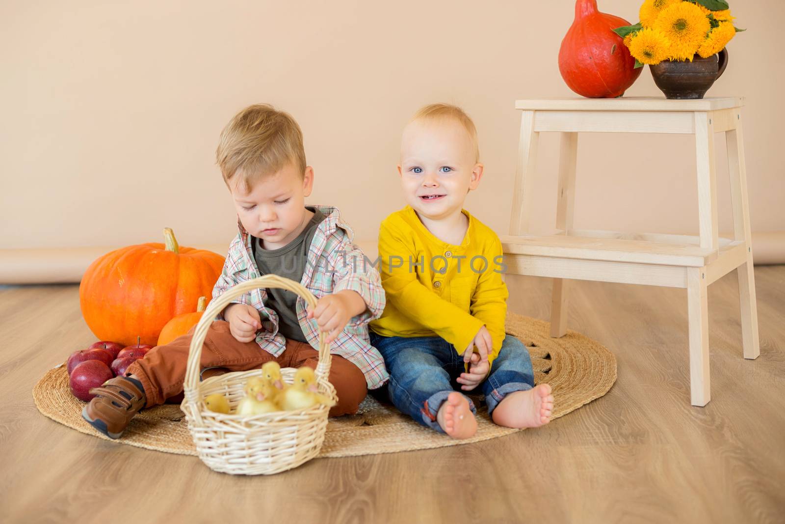 .Kids sit among pumpkins with a basket of ducklings