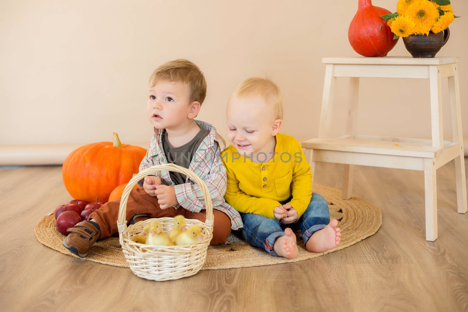 .Kids sit among pumpkins with a basket of ducklings
