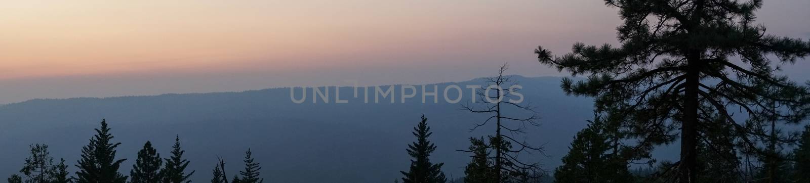 Panoramic view of colorful sunset over the mountain with pine trees, California. USA