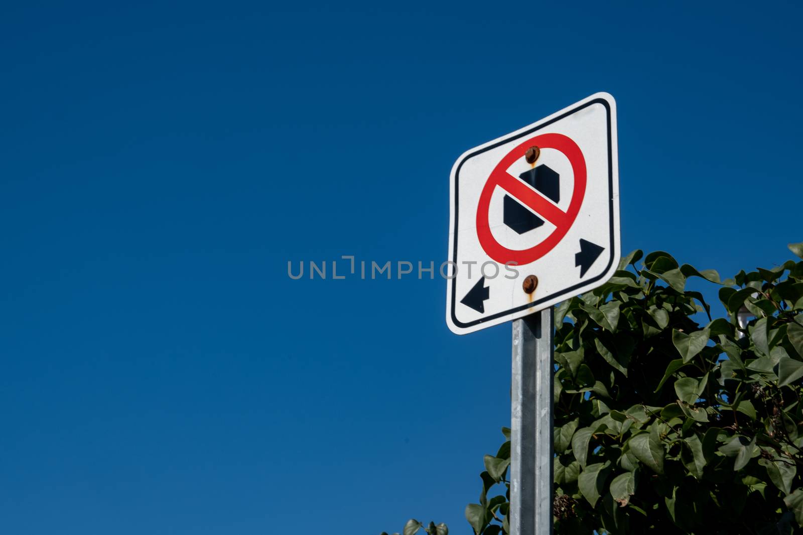 No Stopping Sign on Blue Sky with Plant Leaves by colintemple