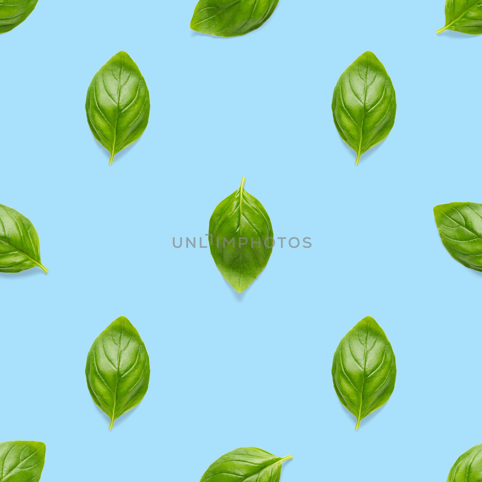 Italian Basil leaf herb seamless pattern on blue background, Creative seamless pattern made from fresh green basil flat lay layout. by PhotoTime