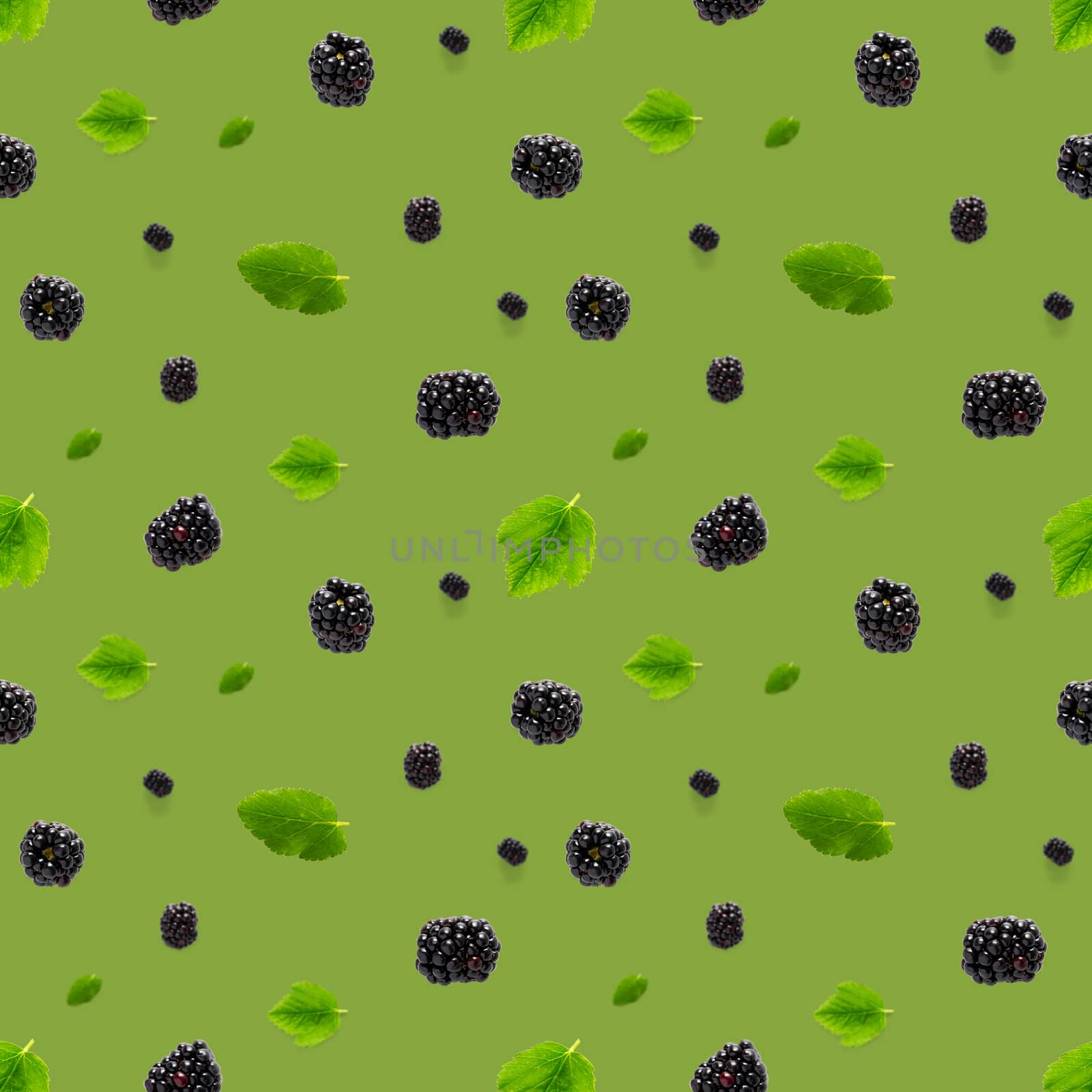 Falling Bramble Seamless pattern. Fresh Falling blackberry seamless pattern. Square pattern with fresh wild berries isolated on green background. flat lay.