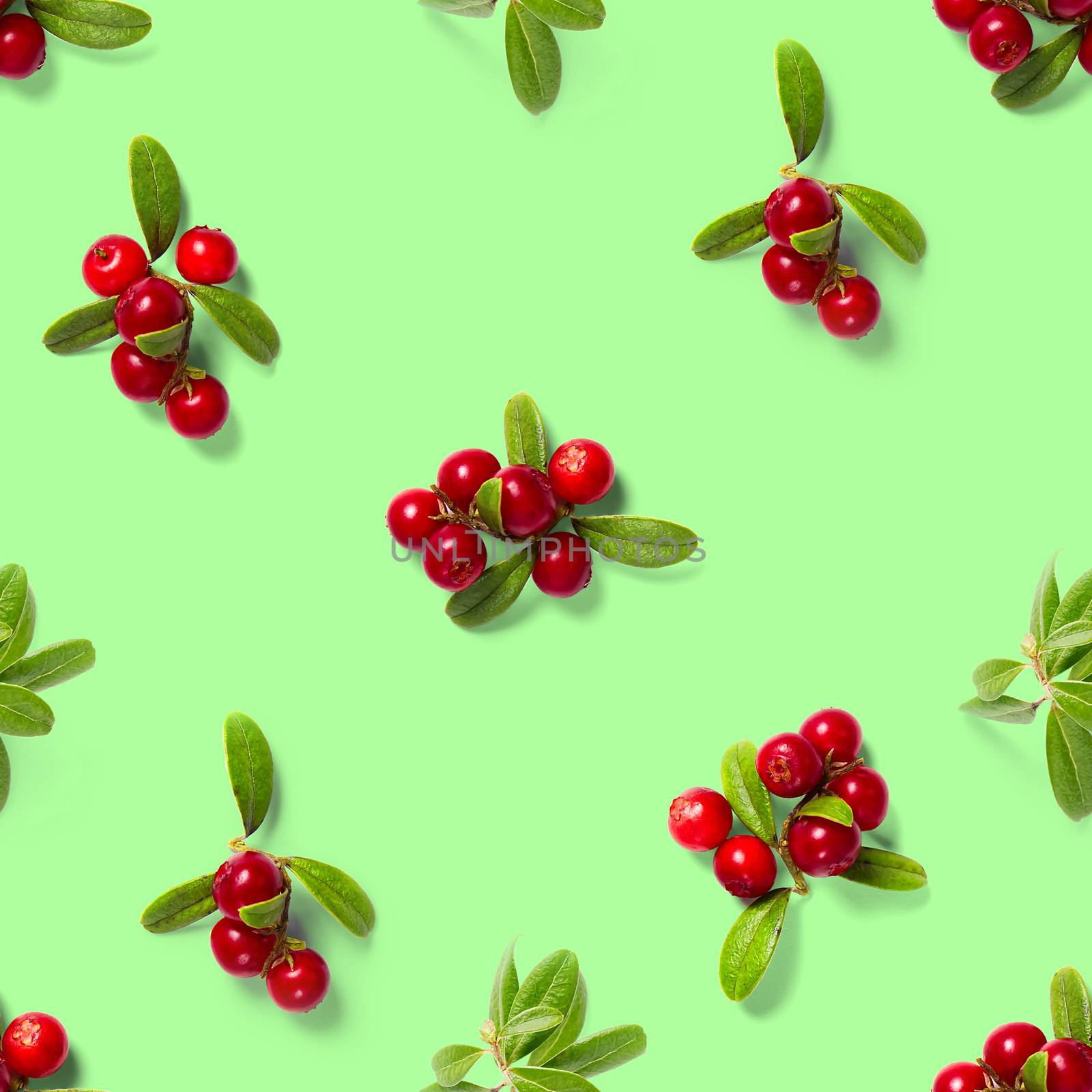 Lingonberry seamless pattern on green background. Fresh cowberries or cranberries with leaves as seamless pattern for textile, fabric, print by PhotoTime