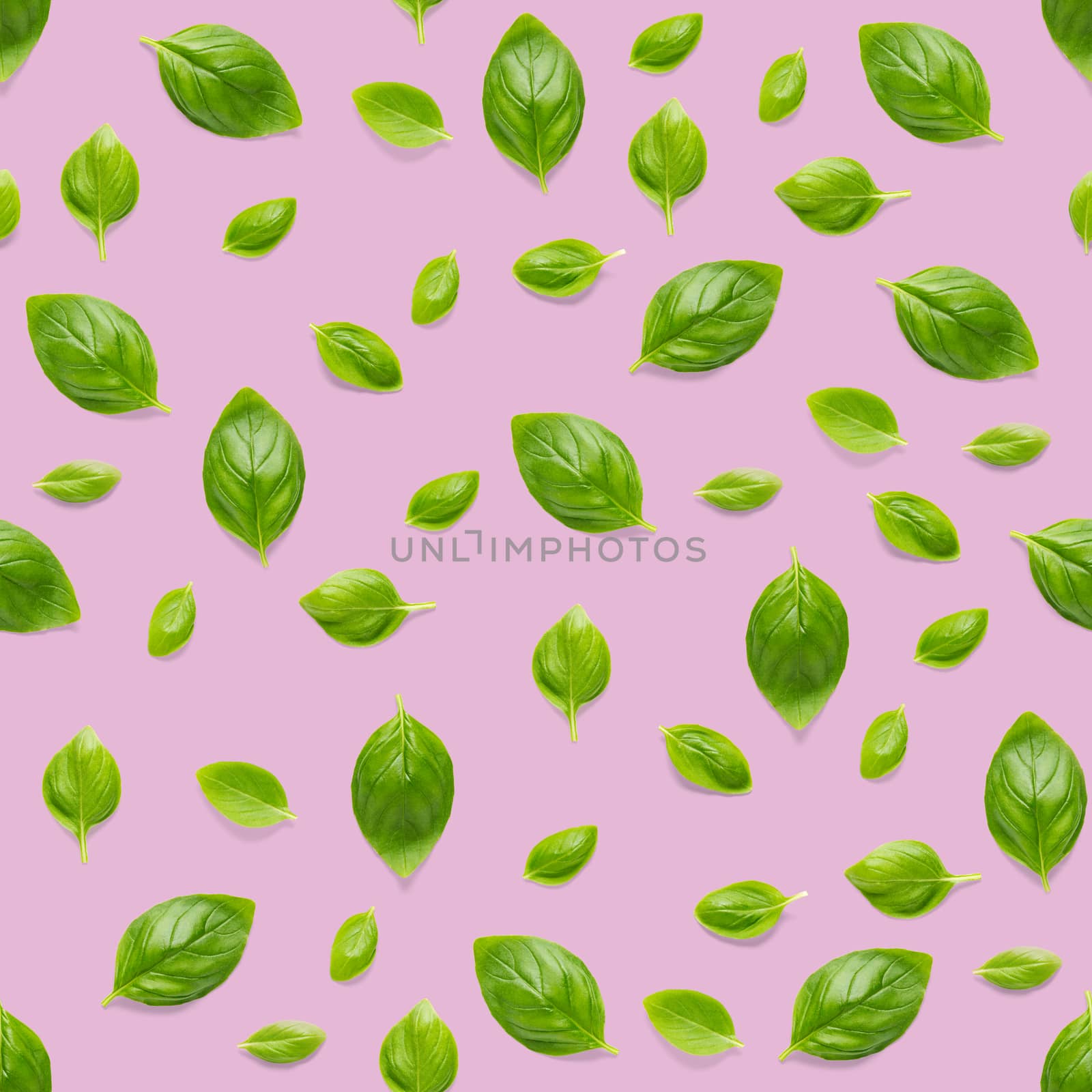 Italian Basil leaf herb seamless pattern on pink background, Creative seamless pattern made from fresh green basil flat lay layout. Food ingredient seamless pattern.
