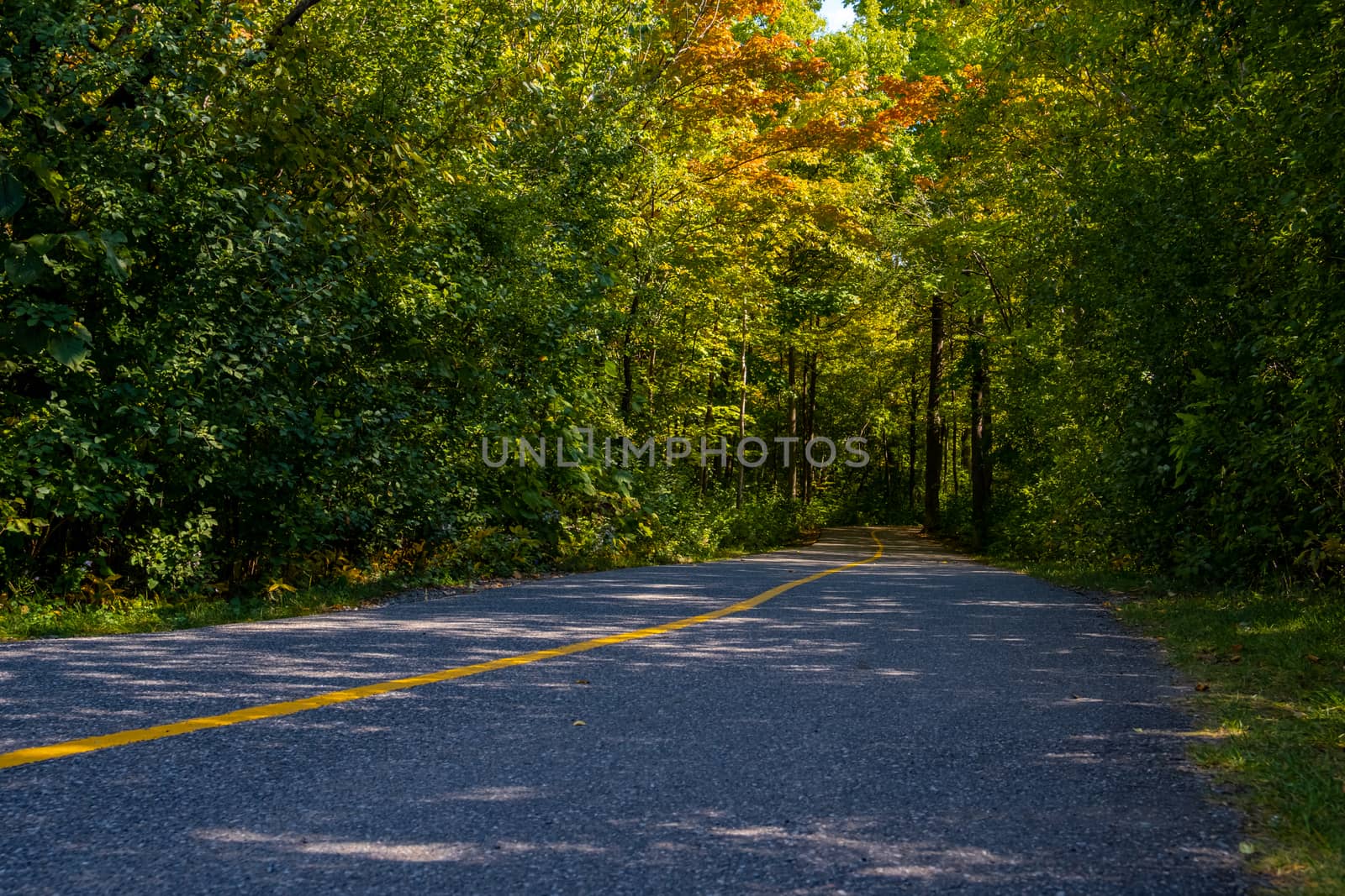 A paved bike path with a yellow painted line runs through a forested area. In early autumn, leaves of green, yellow wand orange line the pathway.