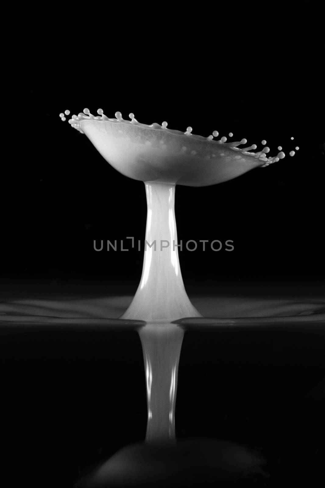 Water drops splash and collide to form an umbrella shape against a dark background, monotone flash photography
