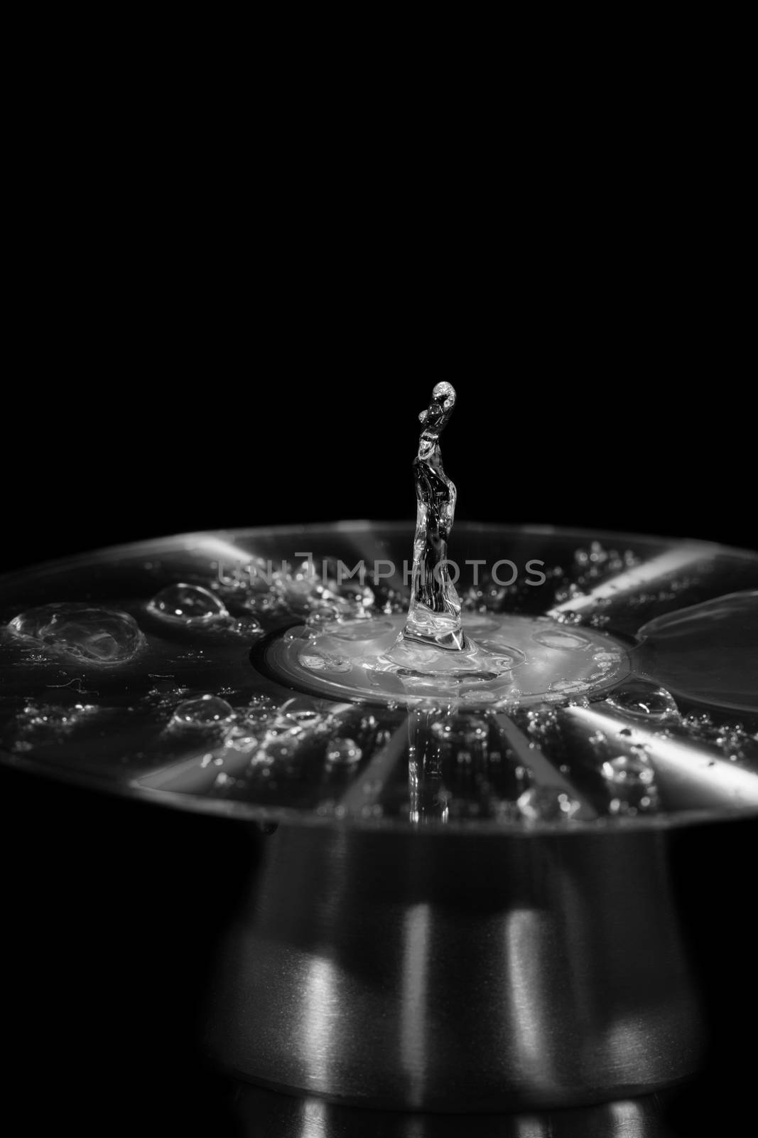 Drops of water splashed onto a cd form the figure of a lady dancing, monotone flash photography