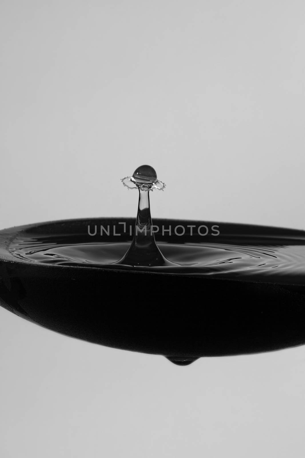 Water drops splash and collide to form an umbrella shape in a soup spoon, monotone flash photography
