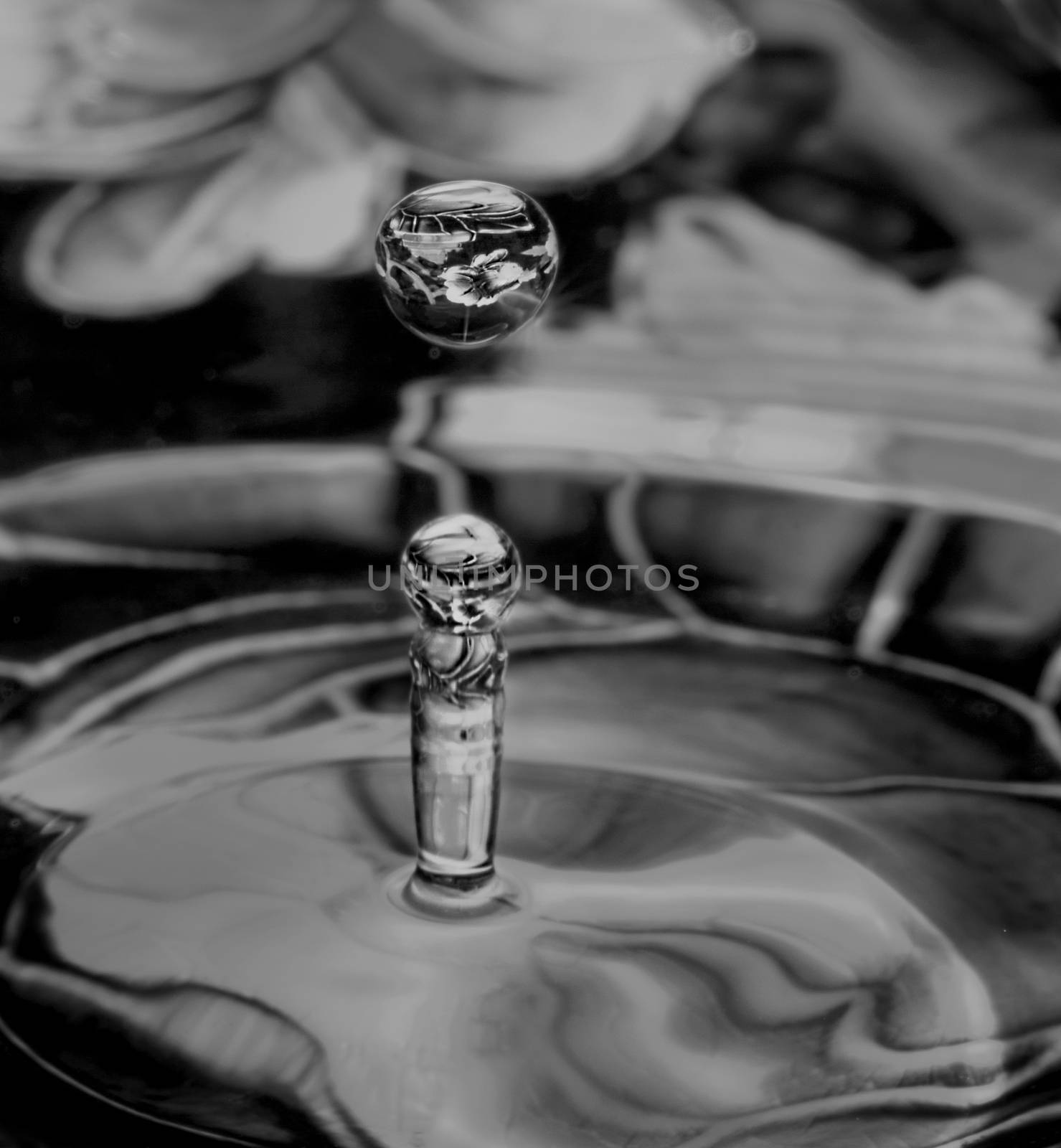 Two transparent water drops reflecting the surrounding floral pattern of the plate, monotone flash photography
