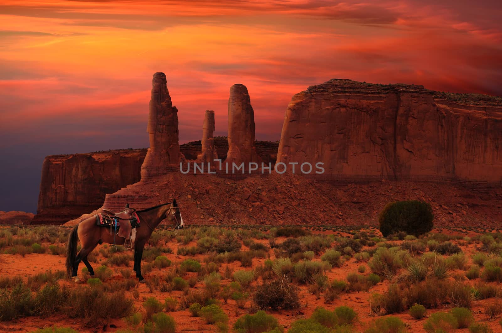 Three Sisters buttes and a horse at dawn in Monument Valley Tribal Park in Utah, USA