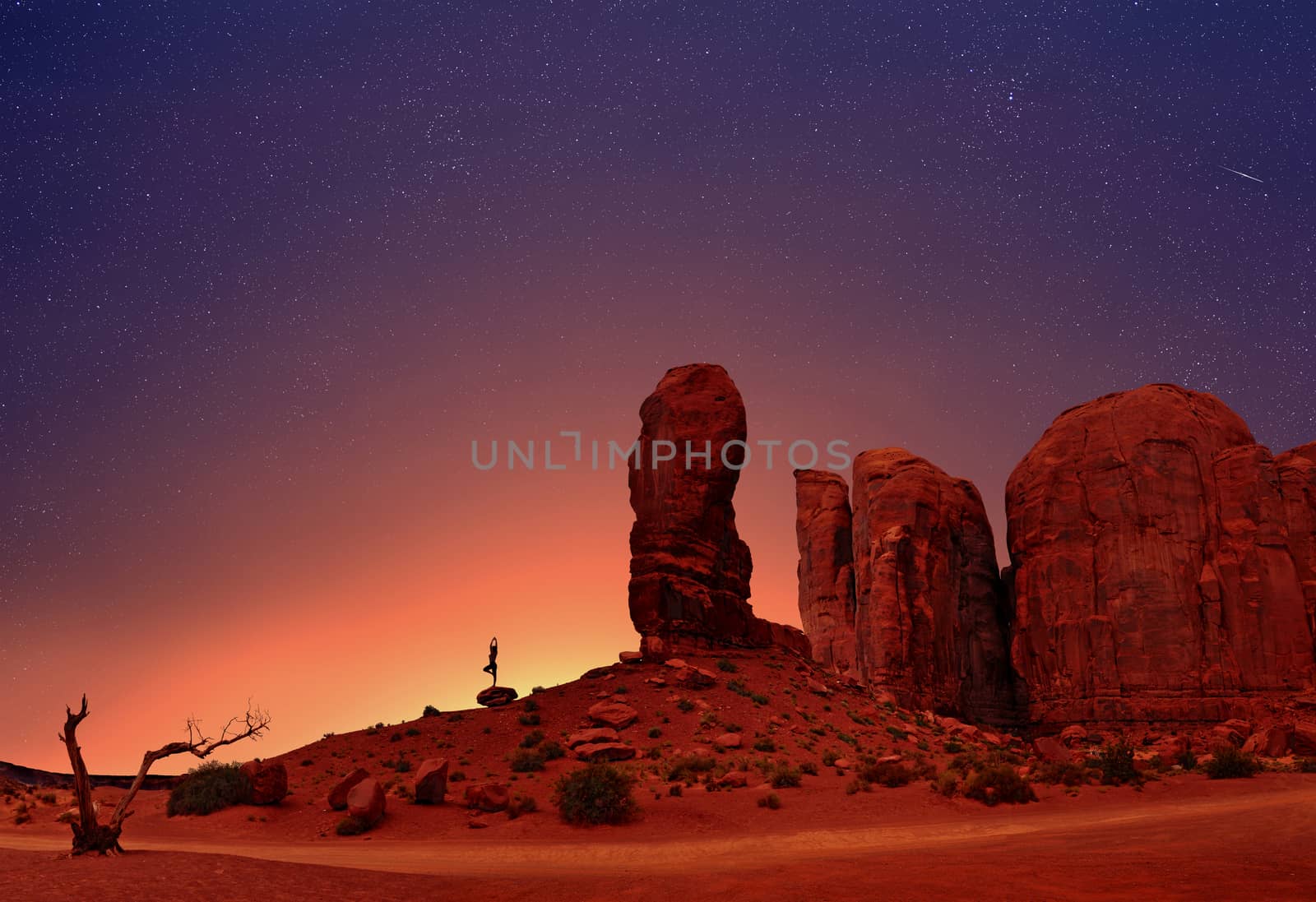 Yoga Tree Pose in Monument Valley by igorot