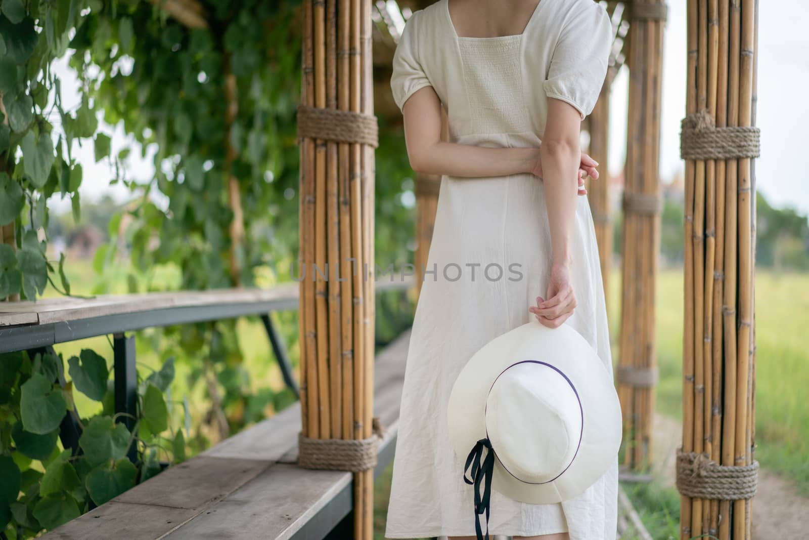 Woman in white dress walking on Bamboo tunnel and bridge as the walk way through the rice field.