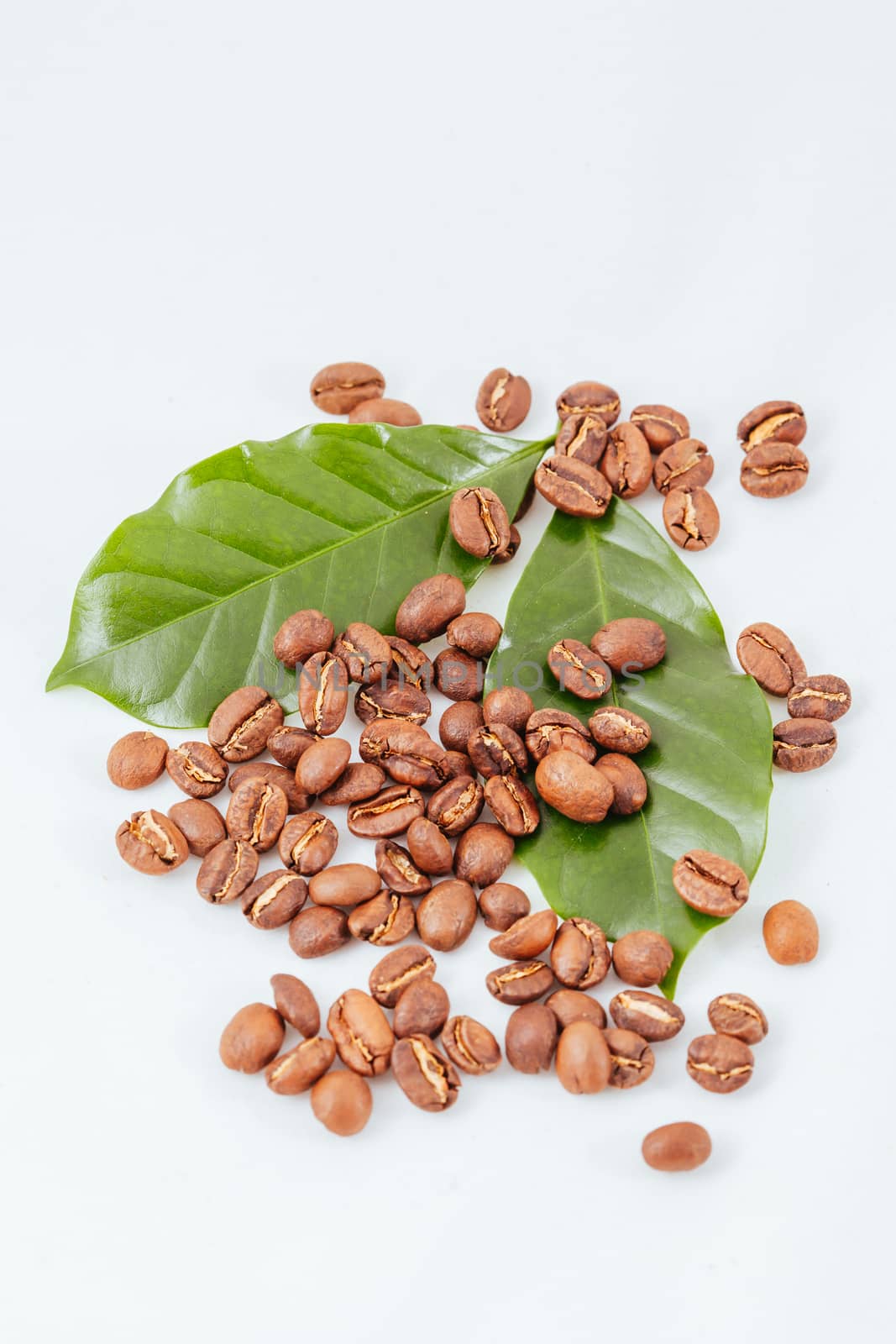 Coffee Beans as Isolated Object by FiledIMAGE