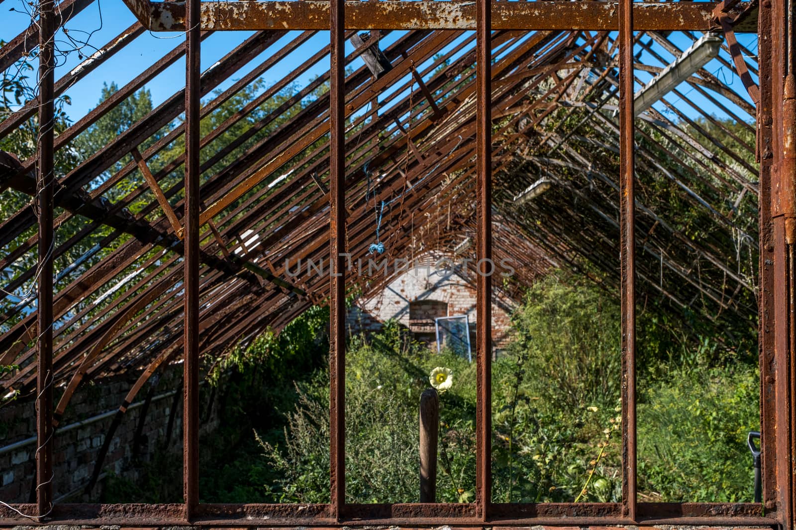 Empty rusty abandoned greenhouse on a summer sunny day.