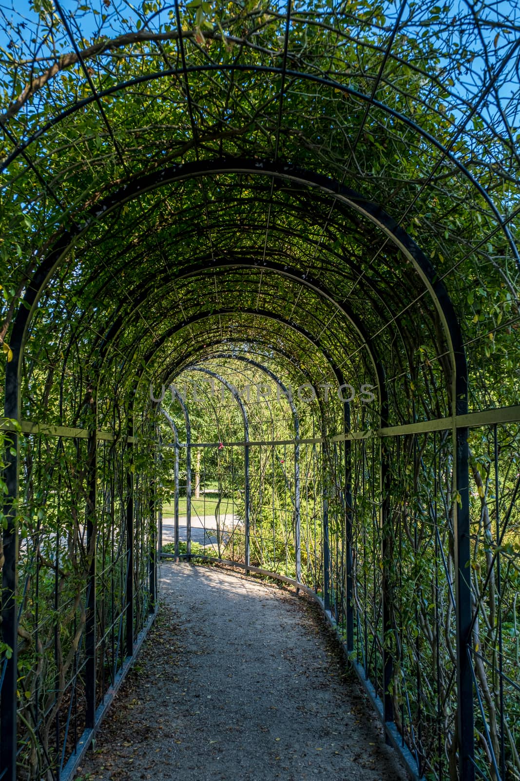 Alley of trees and flower in the Schwerin park.