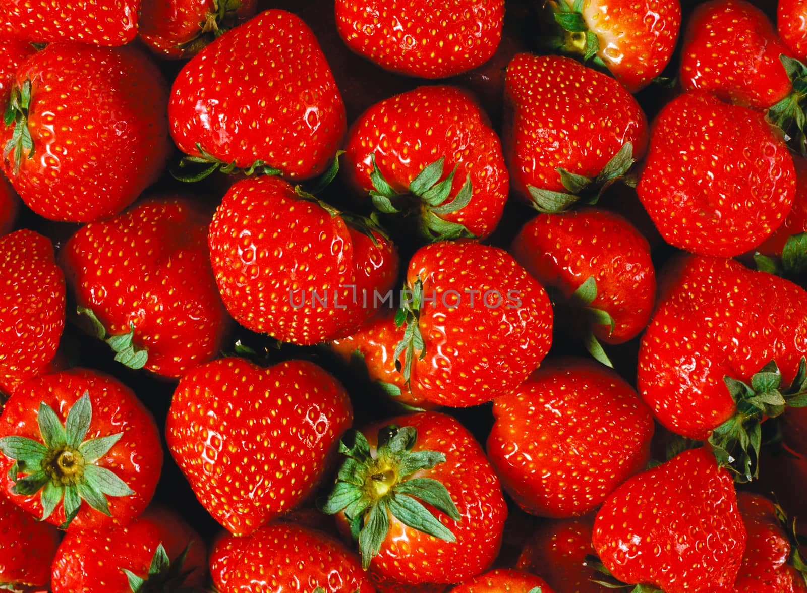 A large number of ripe red strawberries.Texture or background by Mastak80