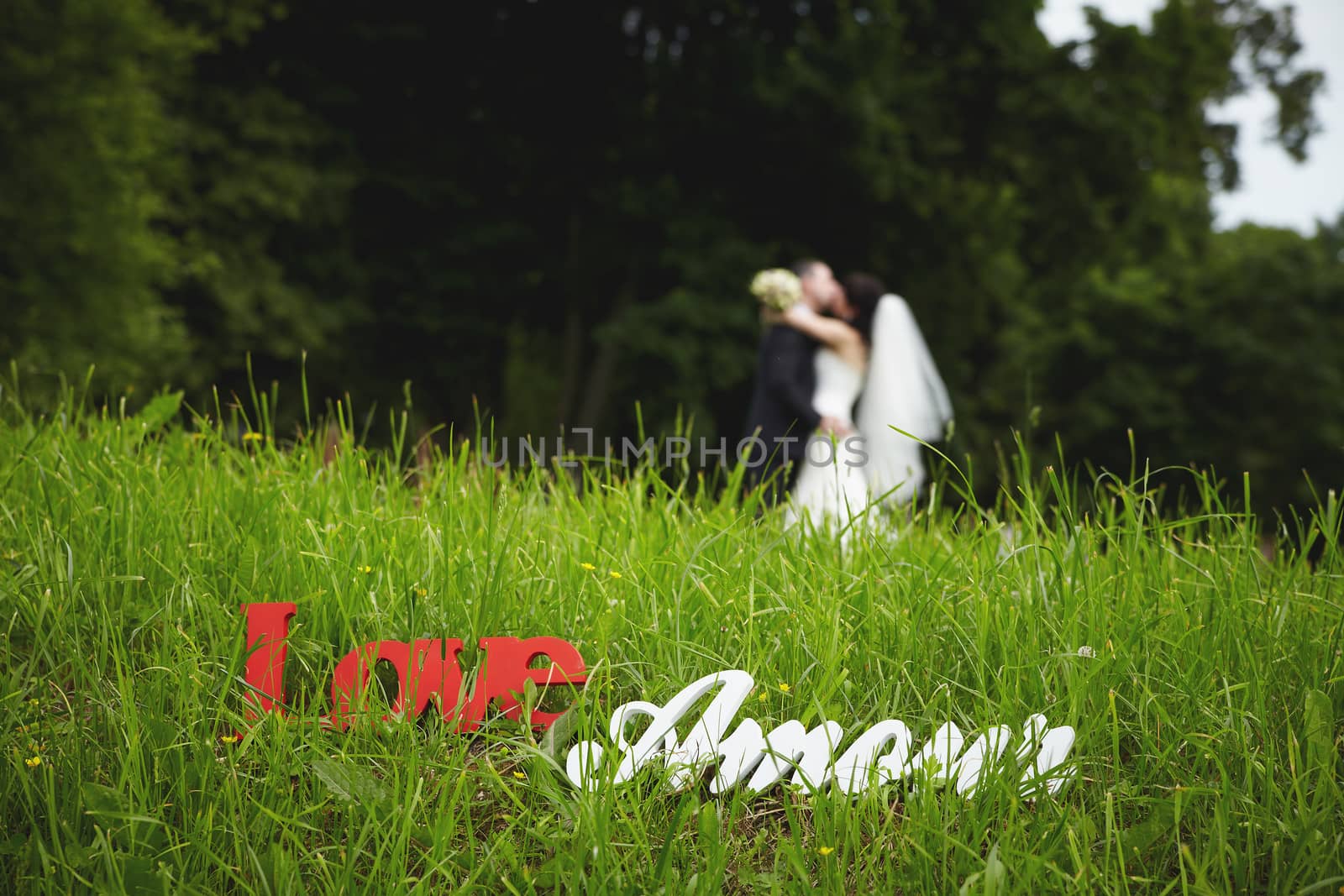 The inscription with the words love blurred background with the newlyweds