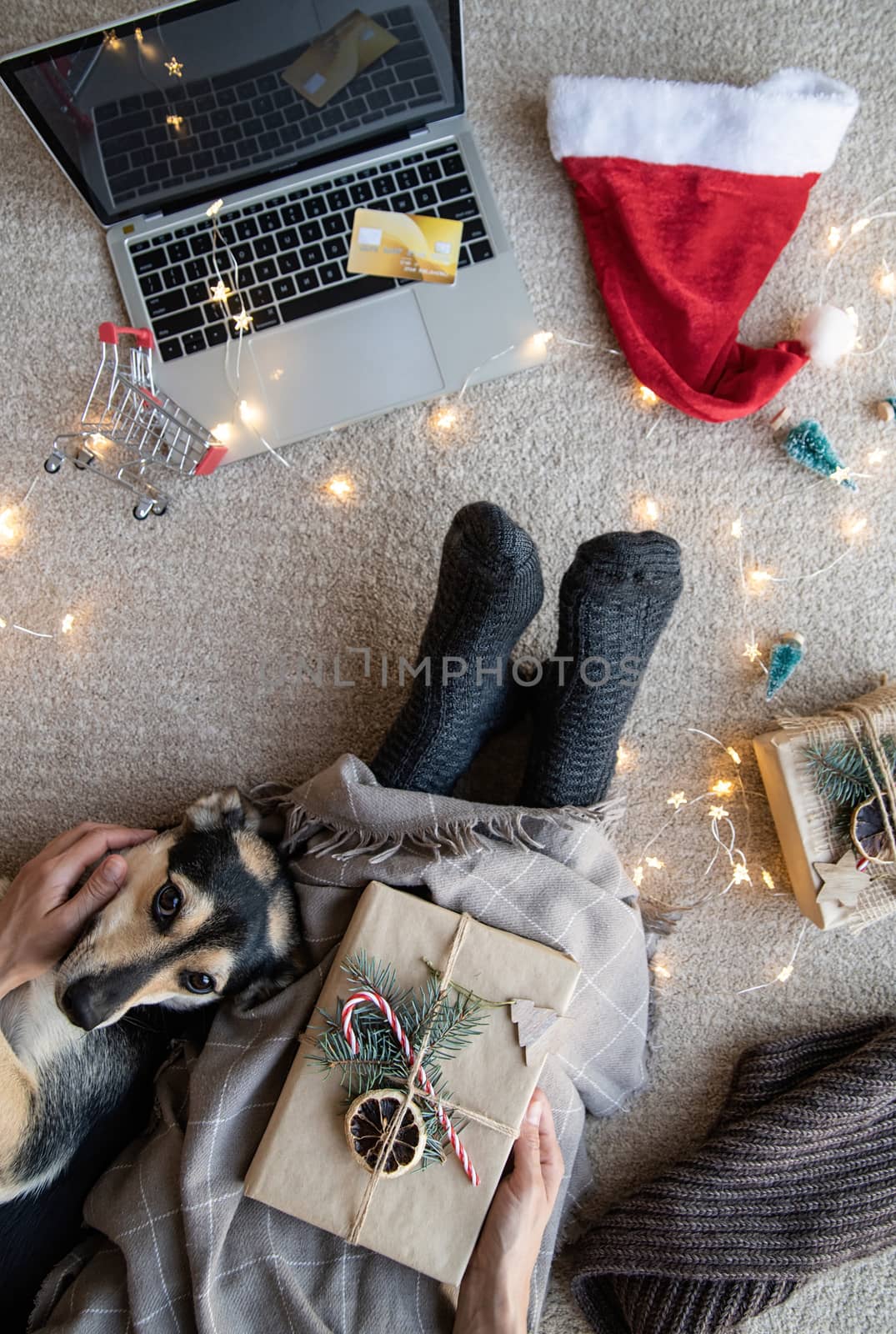 Top view of woman with her dog shopping online at christmas holidays. Christmas online shopping by Desperada