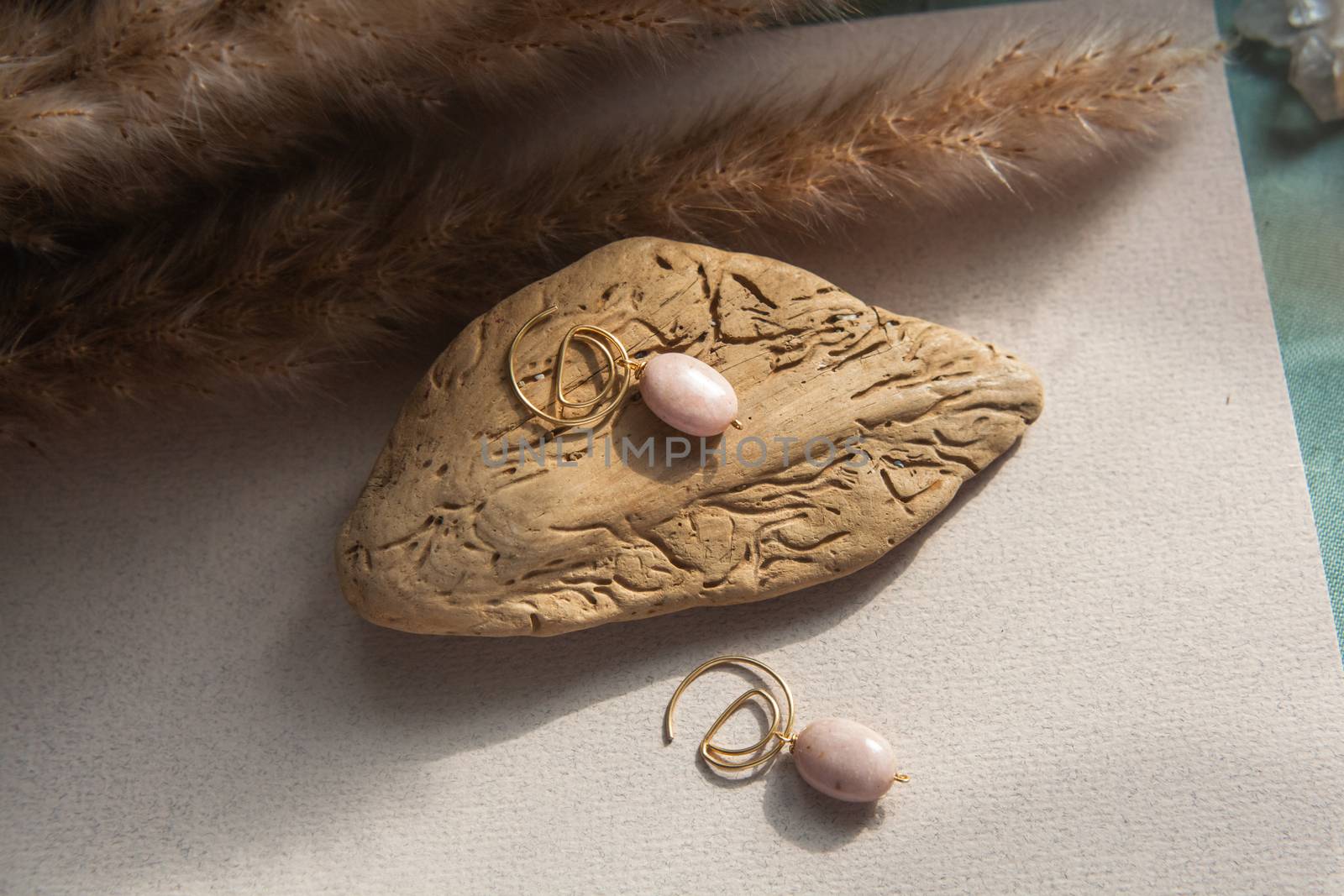 Stylish earrings made of natural pink opal stone with Golden brass fittings on piece of wood pattern from the activity of bark beetle. Natural day solar lighting.