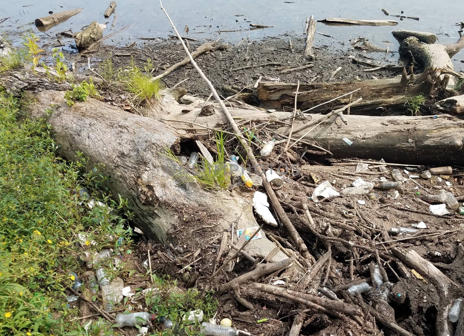 palstic bottles and trash on shore of river by stockphotofan1