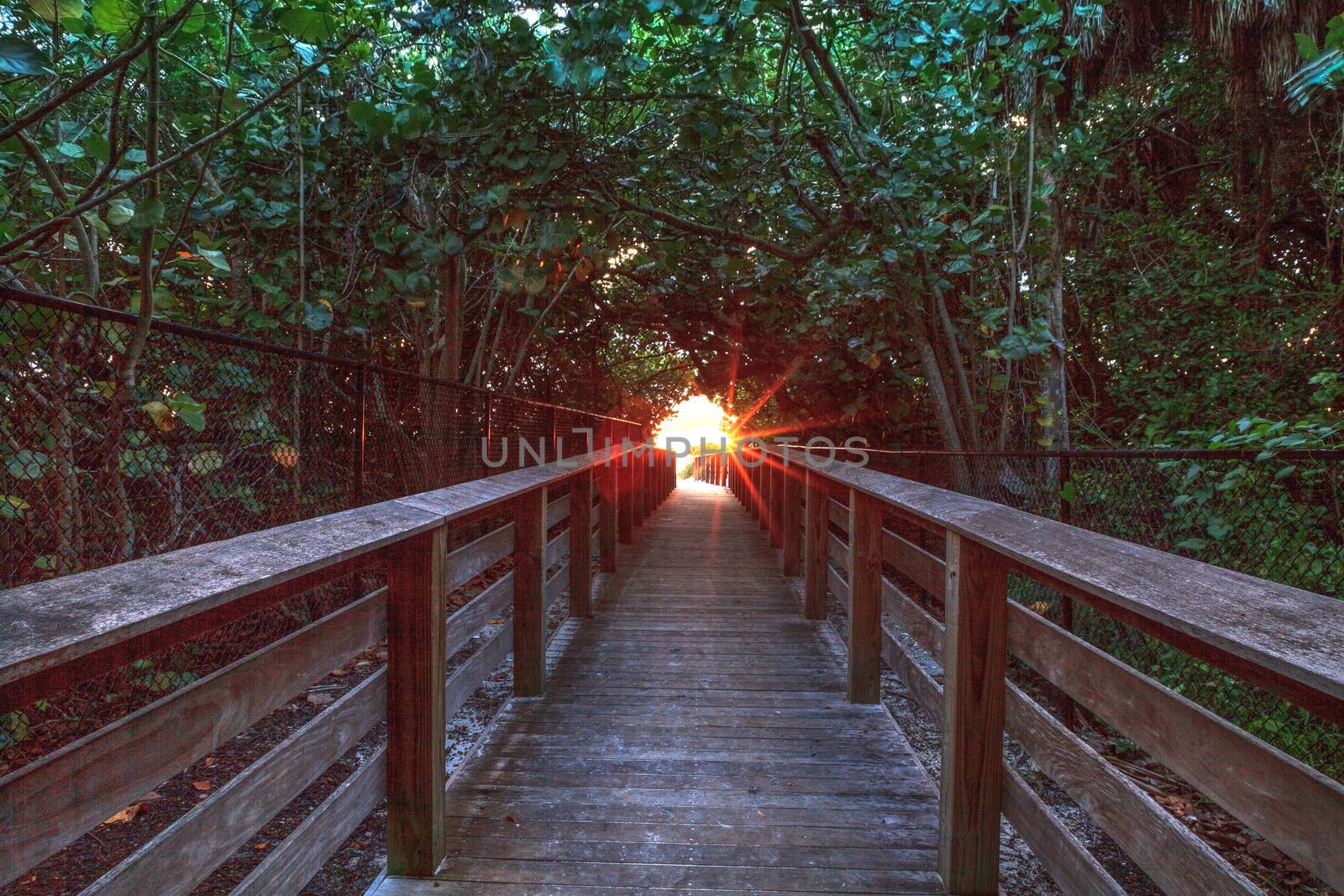 Bluebill Beach Access to Delnor-Wiggins Pass State Park in Naples, Florida