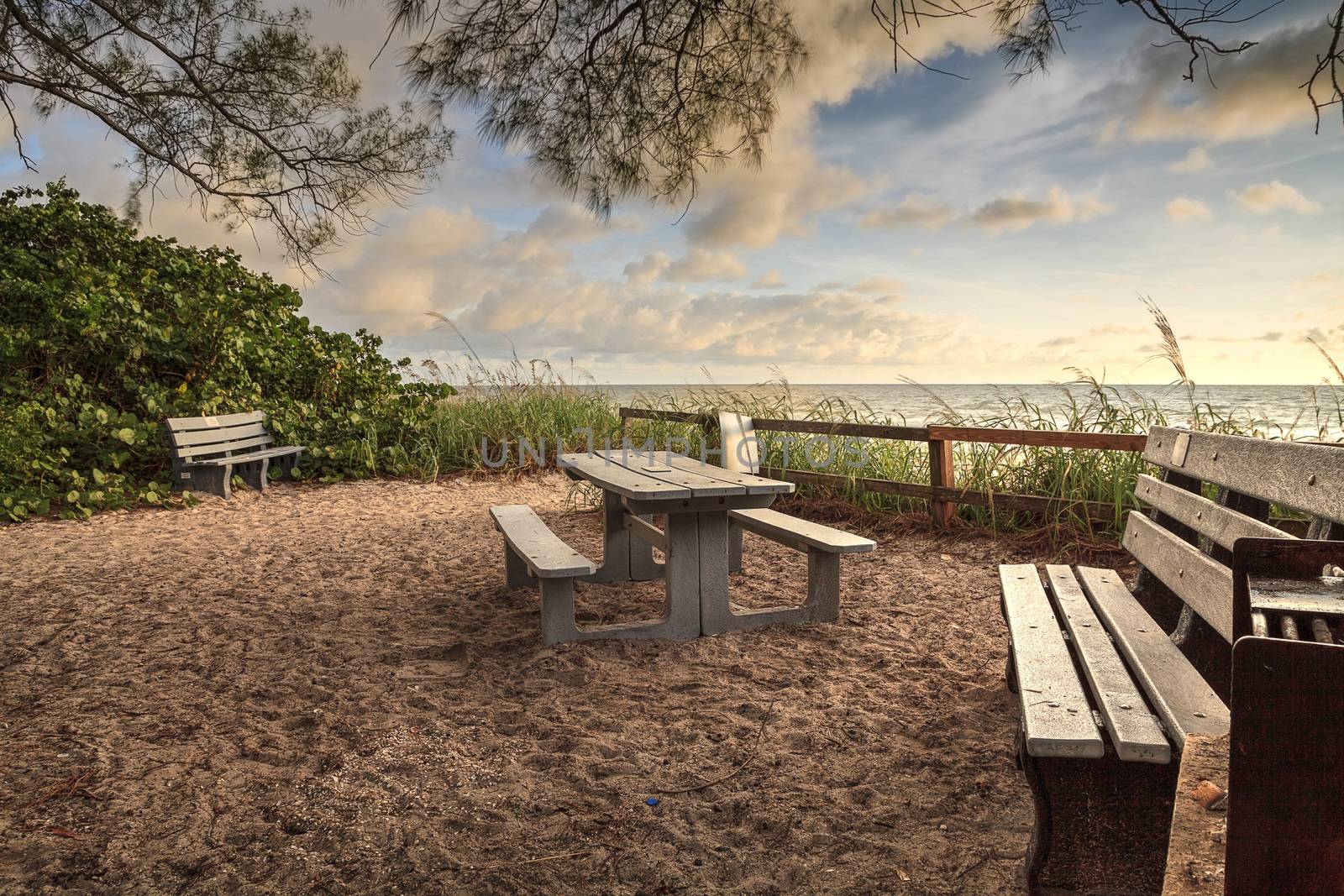 Wood bench overlooks White sand path leading toward Delnor Wiggins State Park at sunset in Naples, Florida.