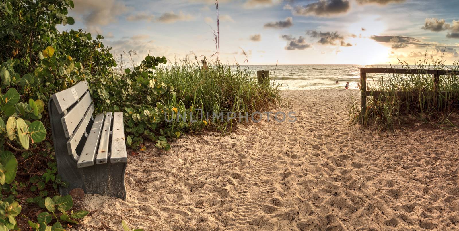 Wood bench overlooks White sand path leading toward Delnor Wiggins State Park at sunset in Naples, Florida.