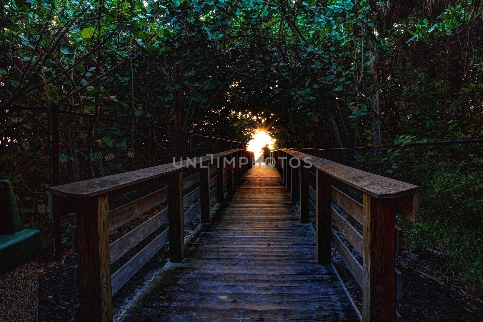 Lone man on a Boardwalk leading toward Delnor-Wiggins State Park at sunset in Naples, Florida.