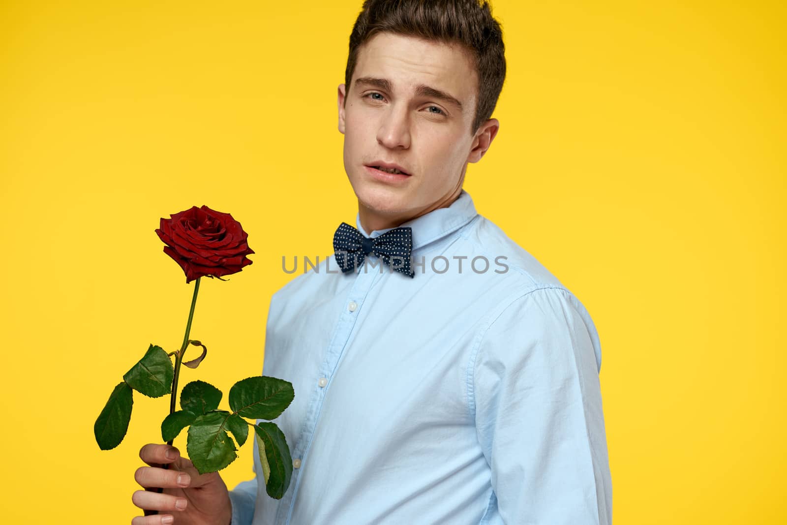 Portrait of a man with a red rose on a yellow background and a light shirt bow tie gentleman by SHOTPRIME