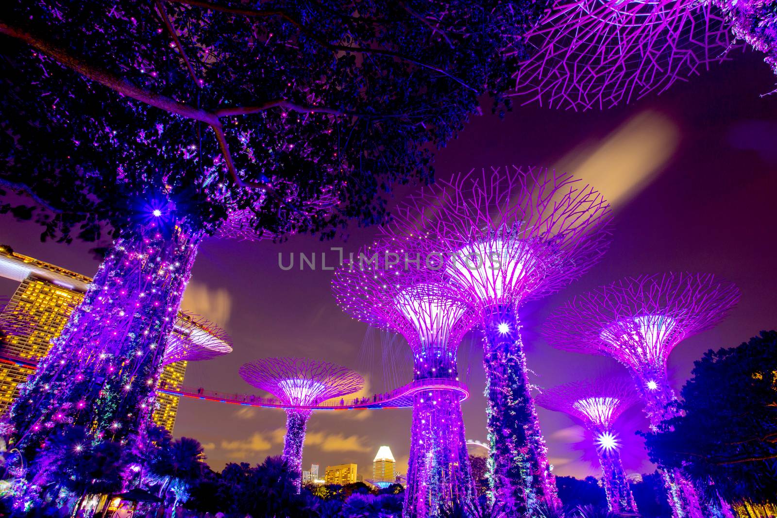SINGAPORE - AUGUST 26, 2017: Supertrees at Gardens by the Bay. The tree-like structures are fitted with environment technology that mimic the ecology function of trees.