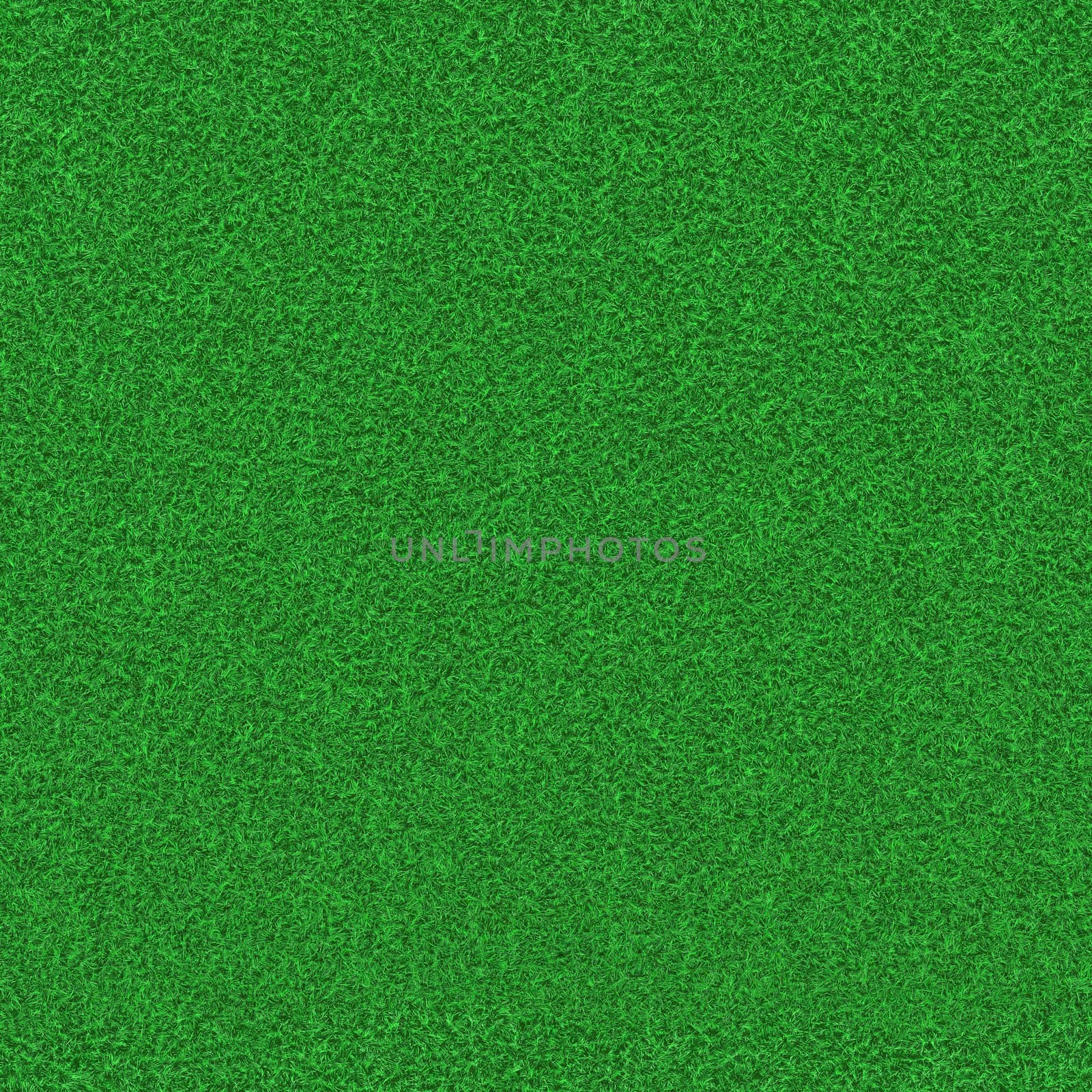 Texture of mowed green grass outdoors