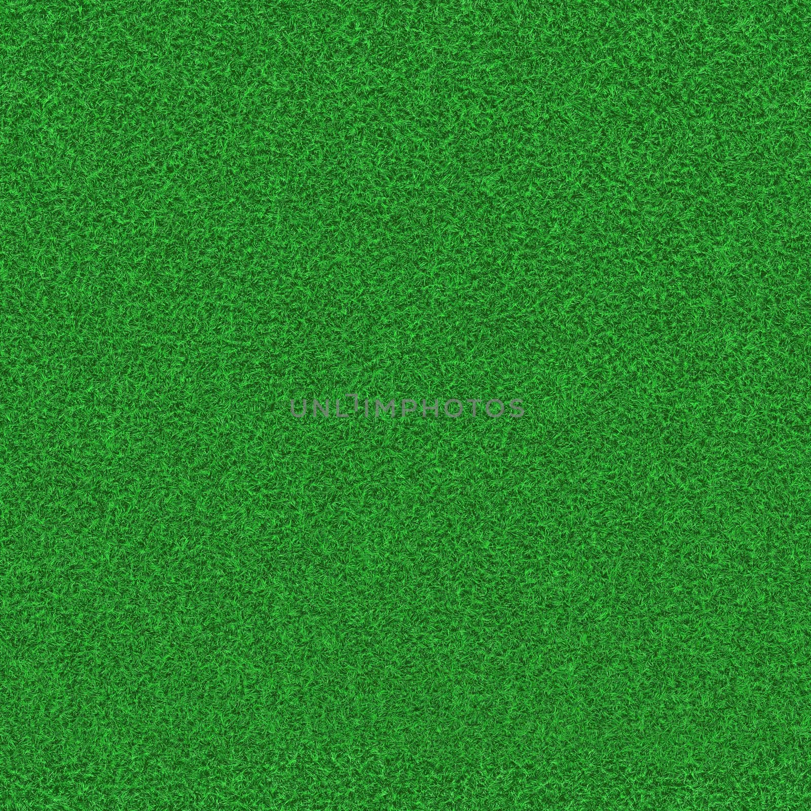 Texture of mowed green grass outdoors