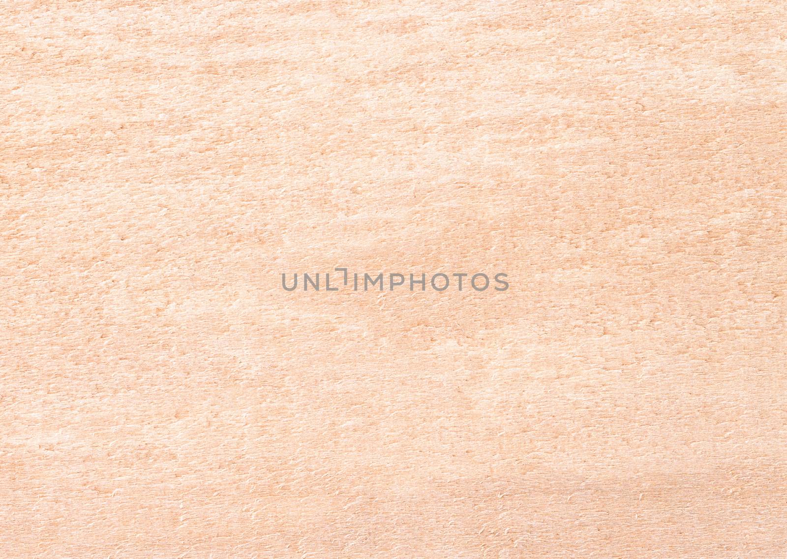 Light beige rough surface of the wooden products