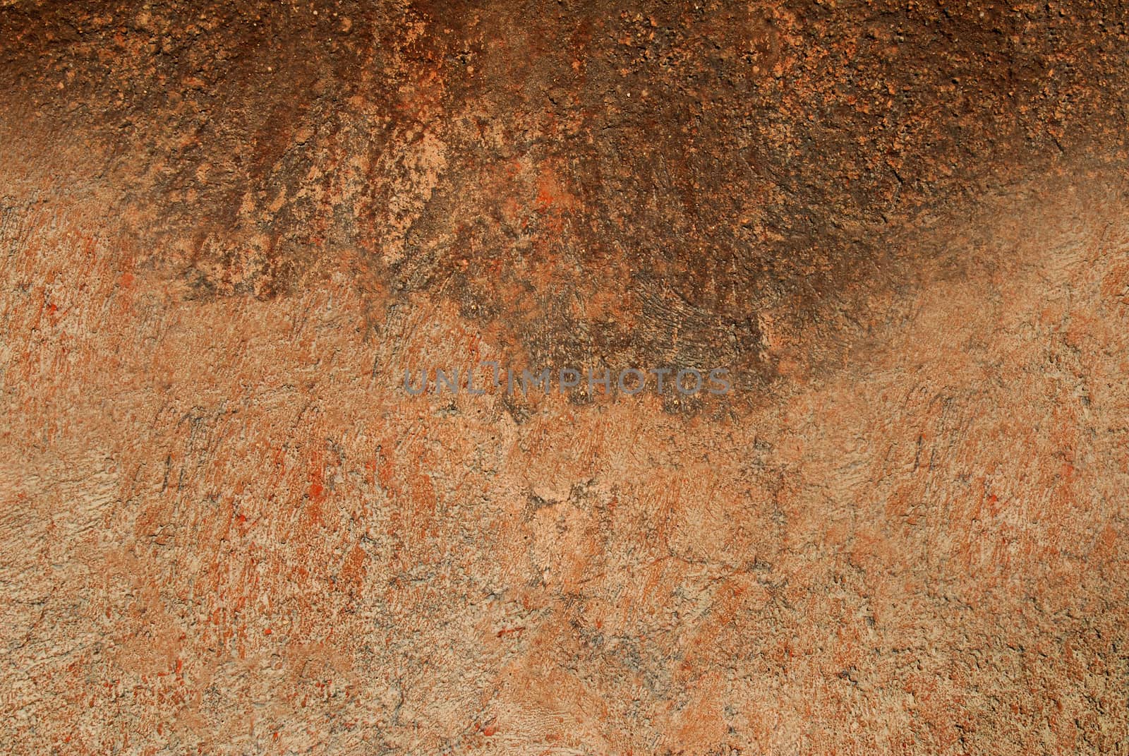 Wood bark with natural textured pattern and rust color