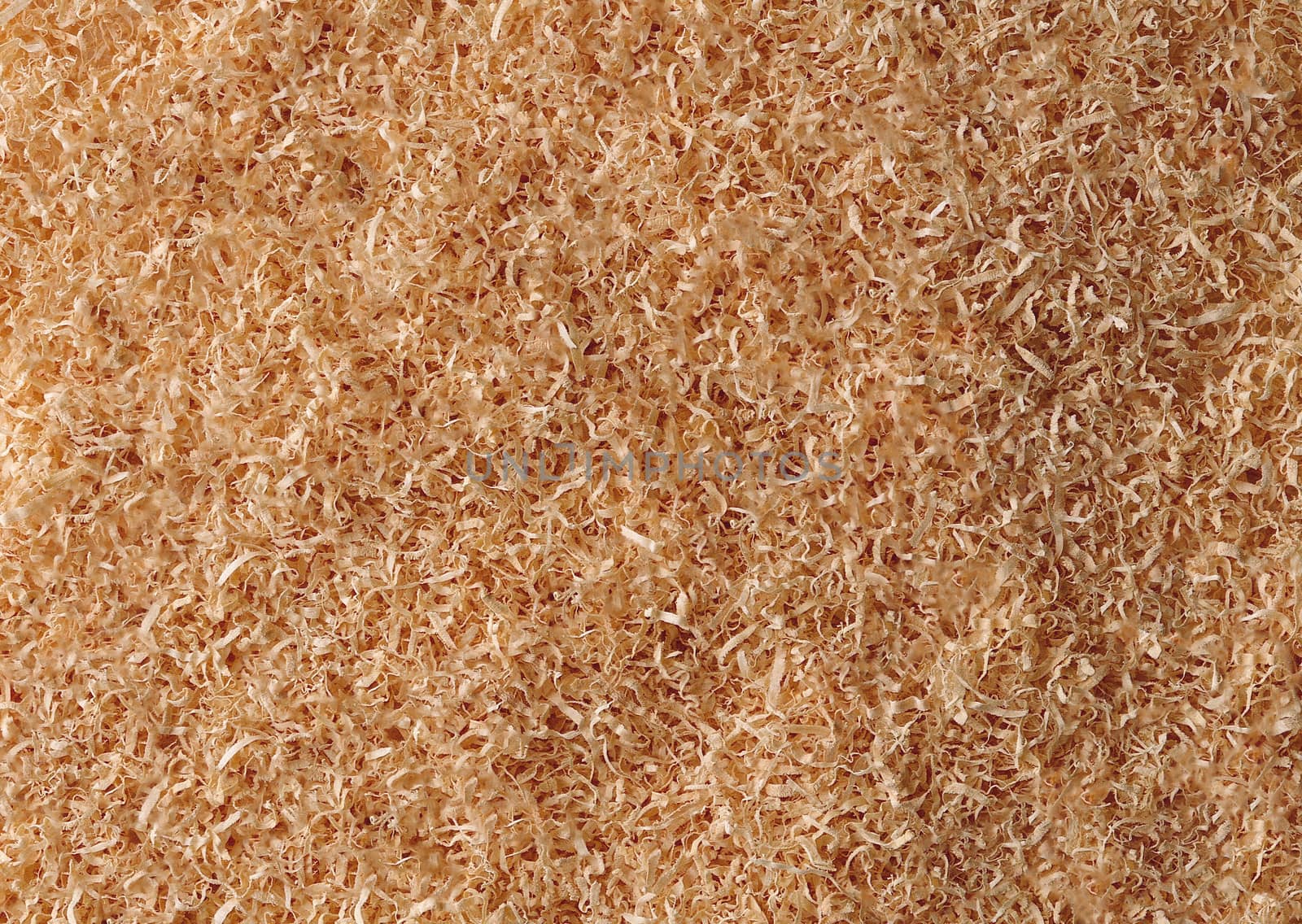 Large amount of fine sawdust close-up waste production