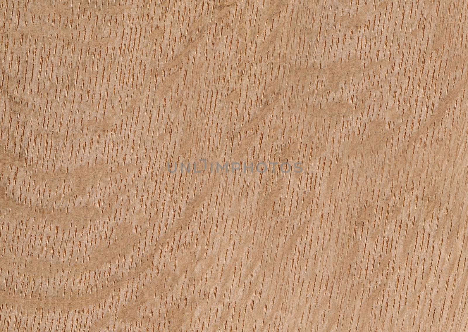 Light beige laminate with imitation wood background or texture