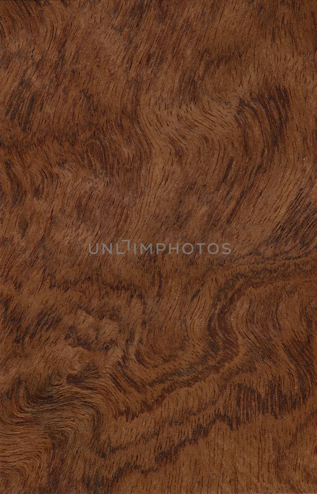 Brown natural surface with textured streaks on the surface.Texture.Background