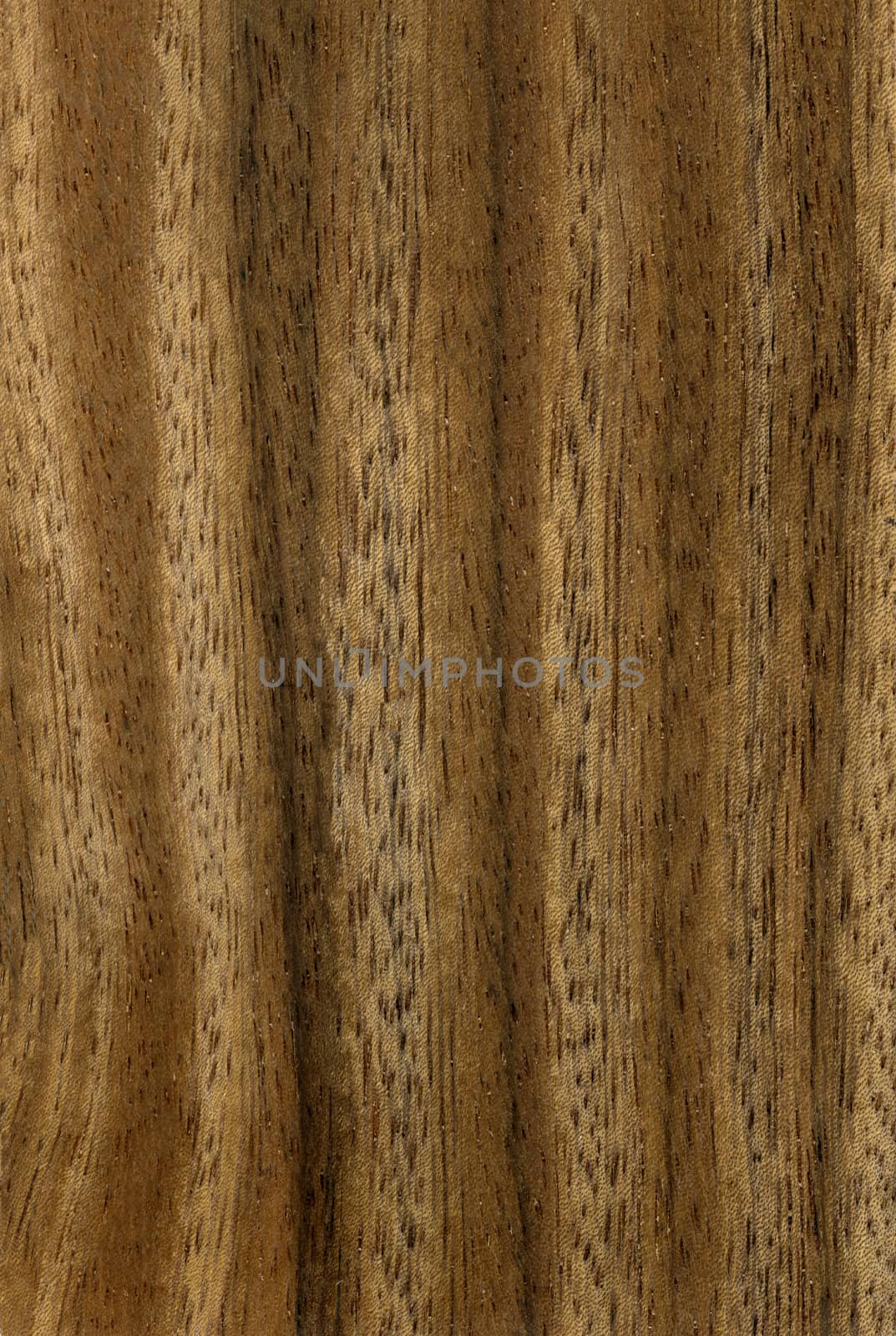 Brown natural surface with textured stripes for home interior.Texture.Background