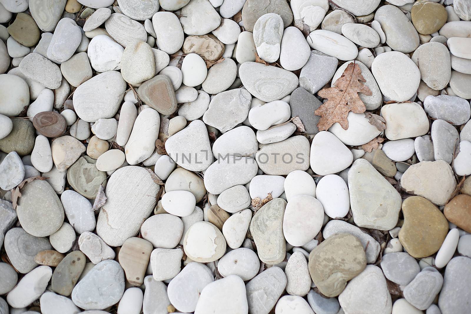 A large number of sea pebbles close-up.Texture.Background.