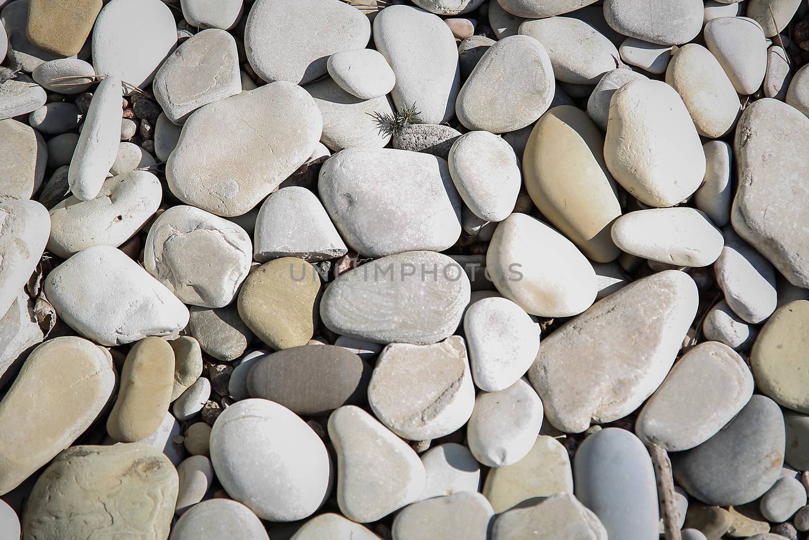 A large number of sea pebbles close-up on the coast.Texture.Background.