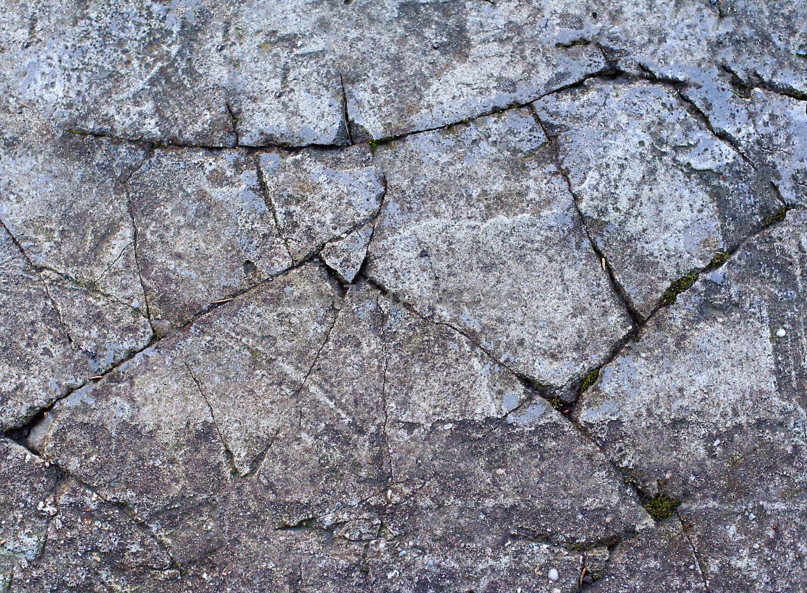 Old green moss-covered road of stone slabs with textured surface